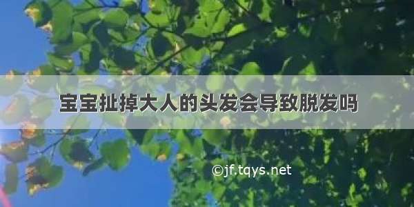 宝宝扯掉大人的头发会导致脱发吗