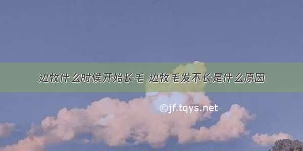 边牧什么时候开始长毛 边牧毛发不长是什么原因