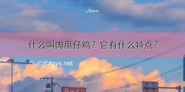 什么叫肉用仔鸡？它有什么特点？