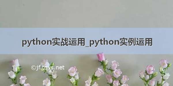 python实战运用_python实例运用
