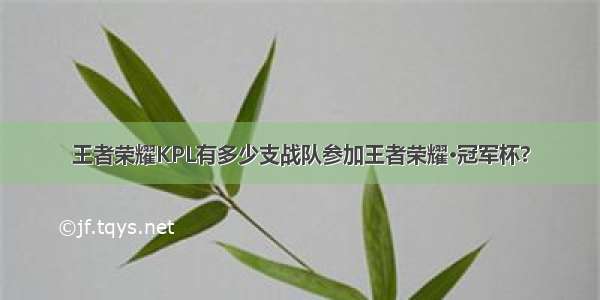 王者荣耀KPL有多少支战队参加王者荣耀·冠军杯?