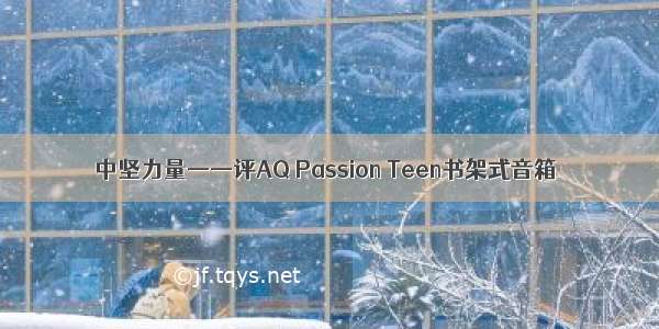 中坚力量——评AQ Passion Teen书架式音箱