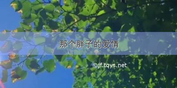 那个胖子的爱情