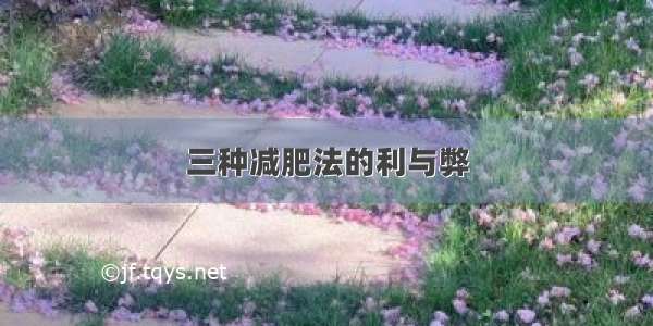 三种减肥法的利与弊