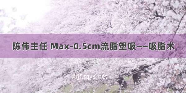 陈伟主任 Max-0.5cm流脂塑吸——吸脂术