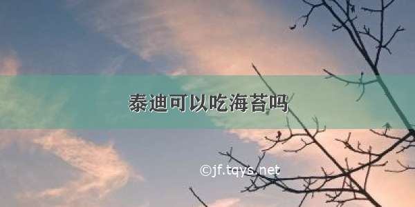 泰迪可以吃海苔吗