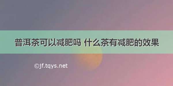 普洱茶可以减肥吗 什么茶有减肥的效果