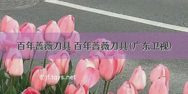 百年蔷薇刀具 百年蔷薇刀具(广东卫视)