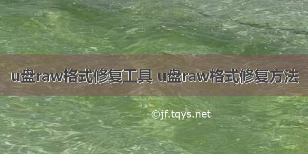 u盘raw格式修复工具 u盘raw格式修复方法