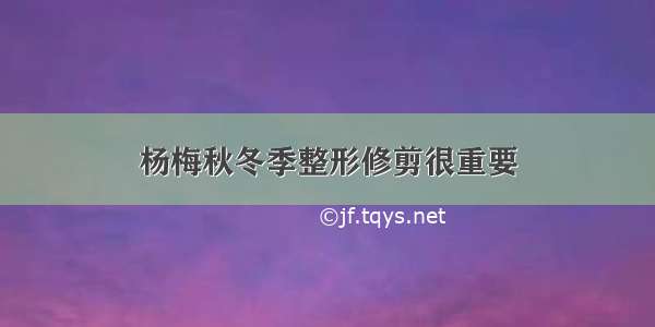 杨梅秋冬季整形修剪很重要