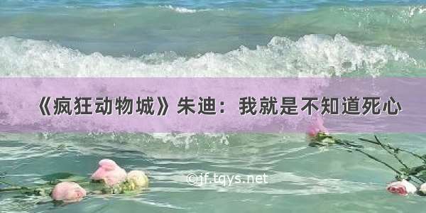 《疯狂动物城》朱迪：我就是不知道死心