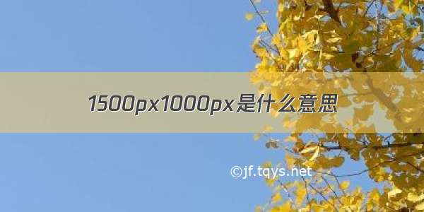 1500px1000px是什么意思