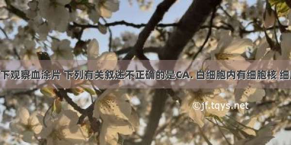 在显微镜下观察血涂片 下列有关叙述不正确的是CA. 白细胞内有细胞核 细胞较大B. 