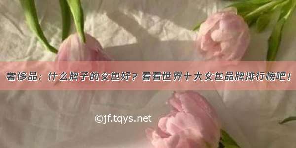 奢侈品：什么牌子的女包好？看看世界十大女包品牌排行榜吧！