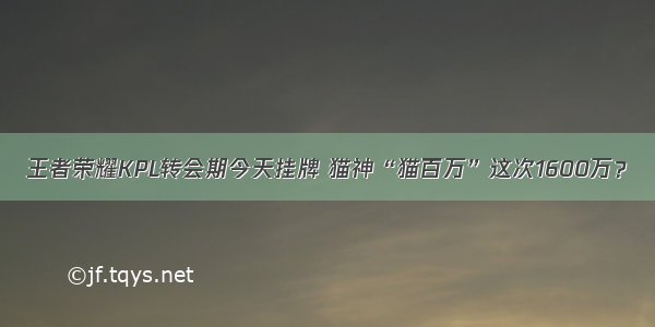 王者荣耀KPL转会期今天挂牌 猫神“猫百万”这次1600万？