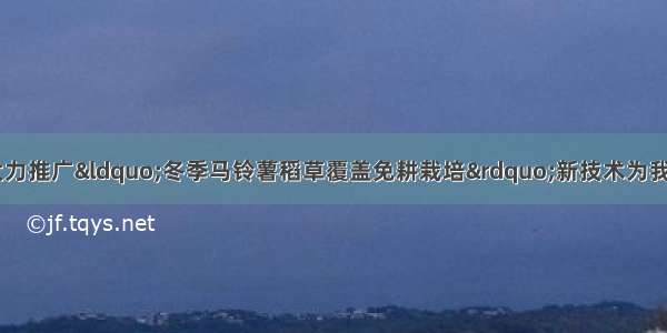 玉林市委 市政府大力推广“冬季马铃薯稻草覆盖免耕栽培”新技术为我市农民增收致富开