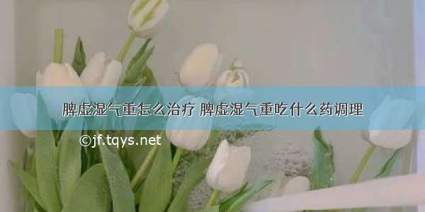 脾虚湿气重怎么治疗 脾虚湿气重吃什么药调理