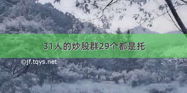 31人的炒股群29个都是托