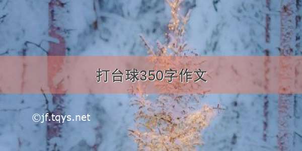 打台球350字作文