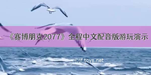 《赛博朋克2077》全程中文配音版游玩演示