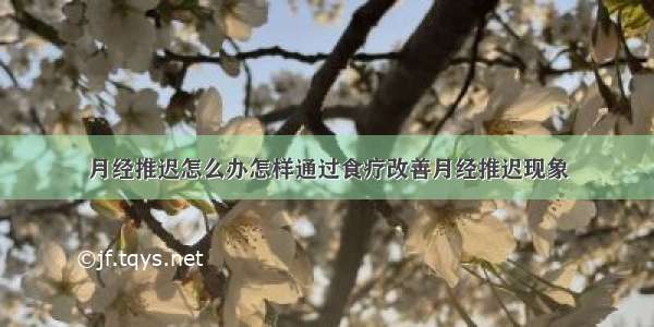 月经推迟怎么办怎样通过食疗改善月经推迟现象