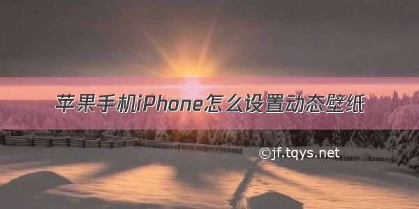 苹果手机iPhone怎么设置动态壁纸