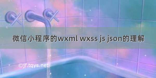 微信小程序的wxml wxss js json的理解