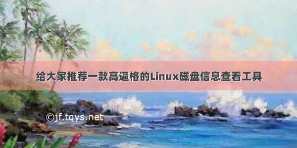 给大家推荐一款高逼格的Linux磁盘信息查看工具