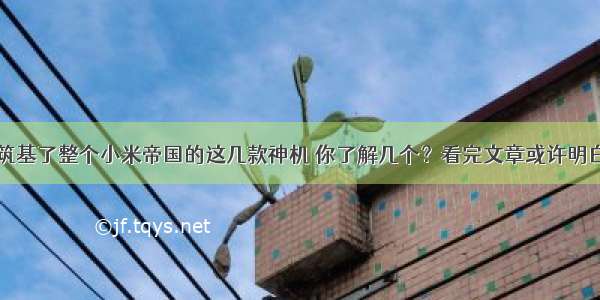 筑基了整个小米帝国的这几款神机 你了解几个？看完文章或许明白