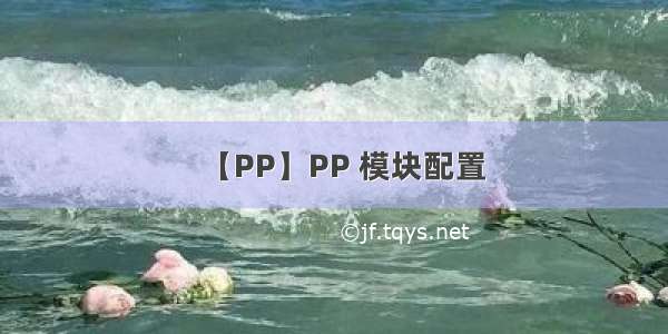 【PP】PP 模块配置