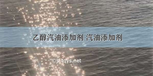 乙醇汽油添加剂 汽油添加剂