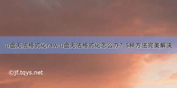 u盘无法格式化raw u盘无法格式化怎么办？5种方法完美解决