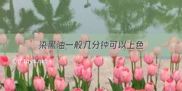 染黑油一般几分钟可以上色