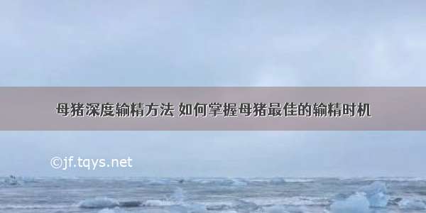 母猪深度输精方法 如何掌握母猪最佳的输精时机