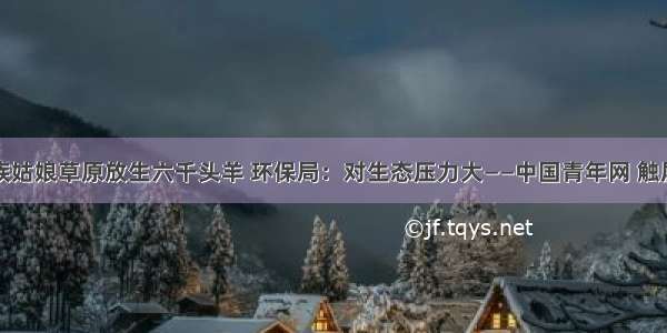 藏族姑娘草原放生六千头羊 环保局：对生态压力大——中国青年网 触屏版