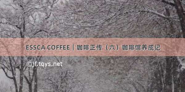 ESSCA COFFEE｜咖啡正传（六）咖啡馆养成记