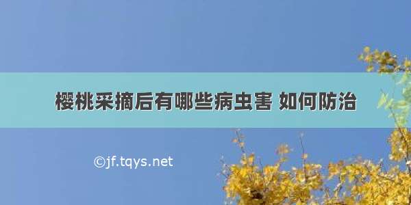 樱桃采摘后有哪些病虫害 如何防治