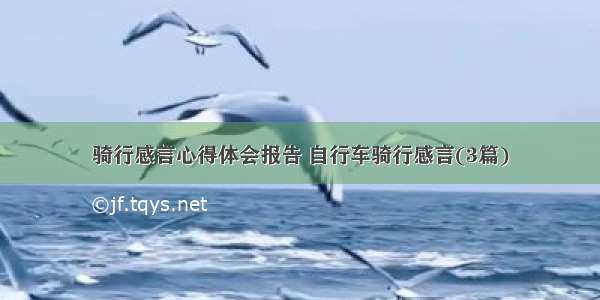 骑行感言心得体会报告 自行车骑行感言(3篇)