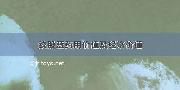 绞股蓝药用价值及经济价值