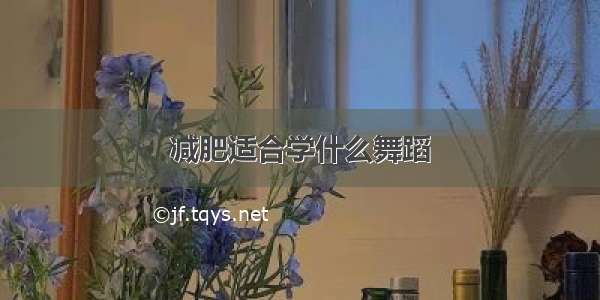 减肥适合学什么舞蹈