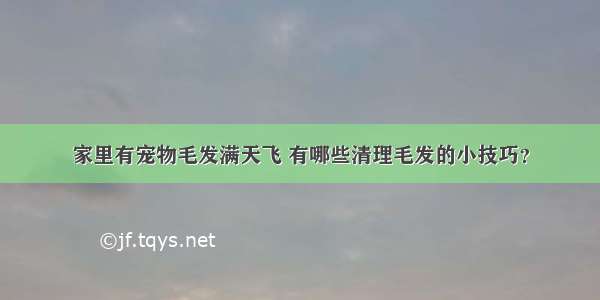 家里有宠物毛发满天飞 有哪些清理毛发的小技巧？