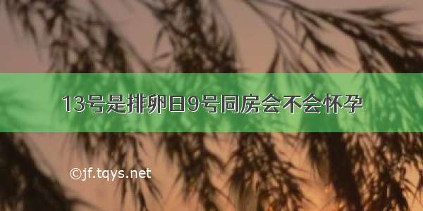 13号是排卵日9号同房会不会怀孕