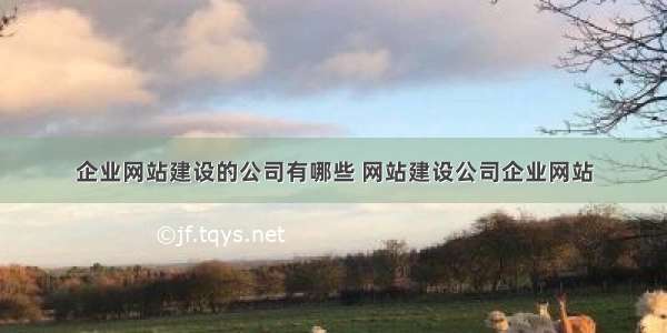 企业网站建设的公司有哪些 网站建设公司企业网站