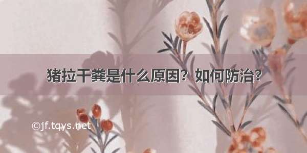 猪拉干粪是什么原因？如何防治？