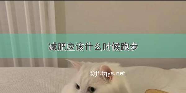 减肥应该什么时候跑步