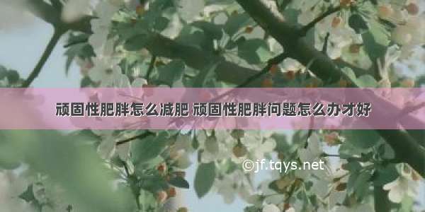 顽固性肥胖怎么减肥 顽固性肥胖问题怎么办才好