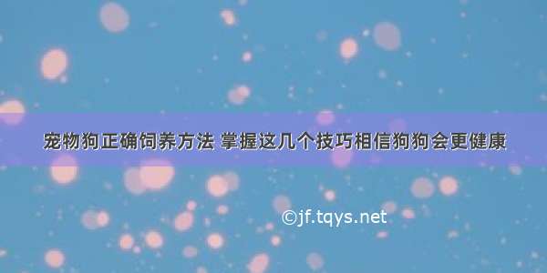 宠物狗正确饲养方法 掌握这几个技巧相信狗狗会更健康