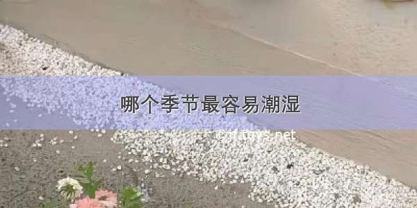 哪个季节最容易潮湿