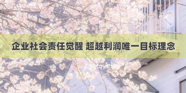 企业社会责任觉醒 超越利润唯一目标理念