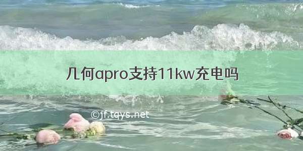 几何apro支持11kw充电吗